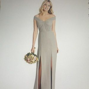 NWT Social full length sheer crepe dress.  Size 4